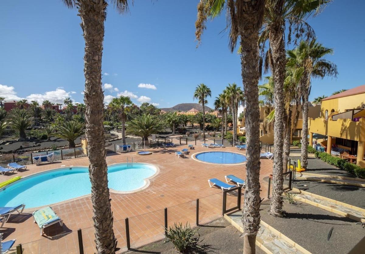 Apartamentos Oasis Royal Corralejo F312 Eksteriør billede